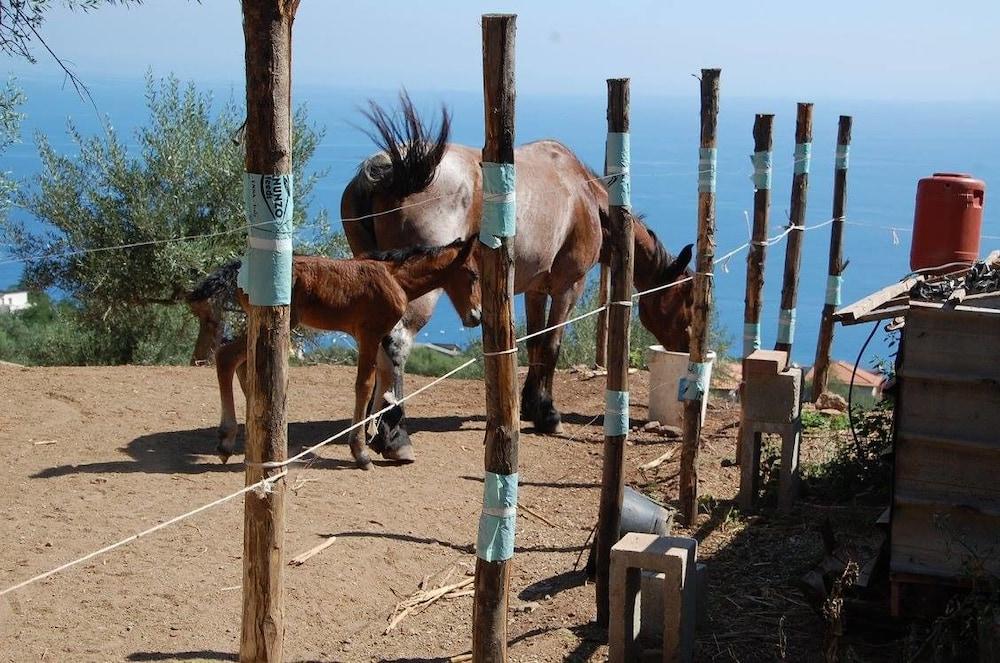 Agriturismo Santa Margherita Gioiosa Marea Extérieur photo